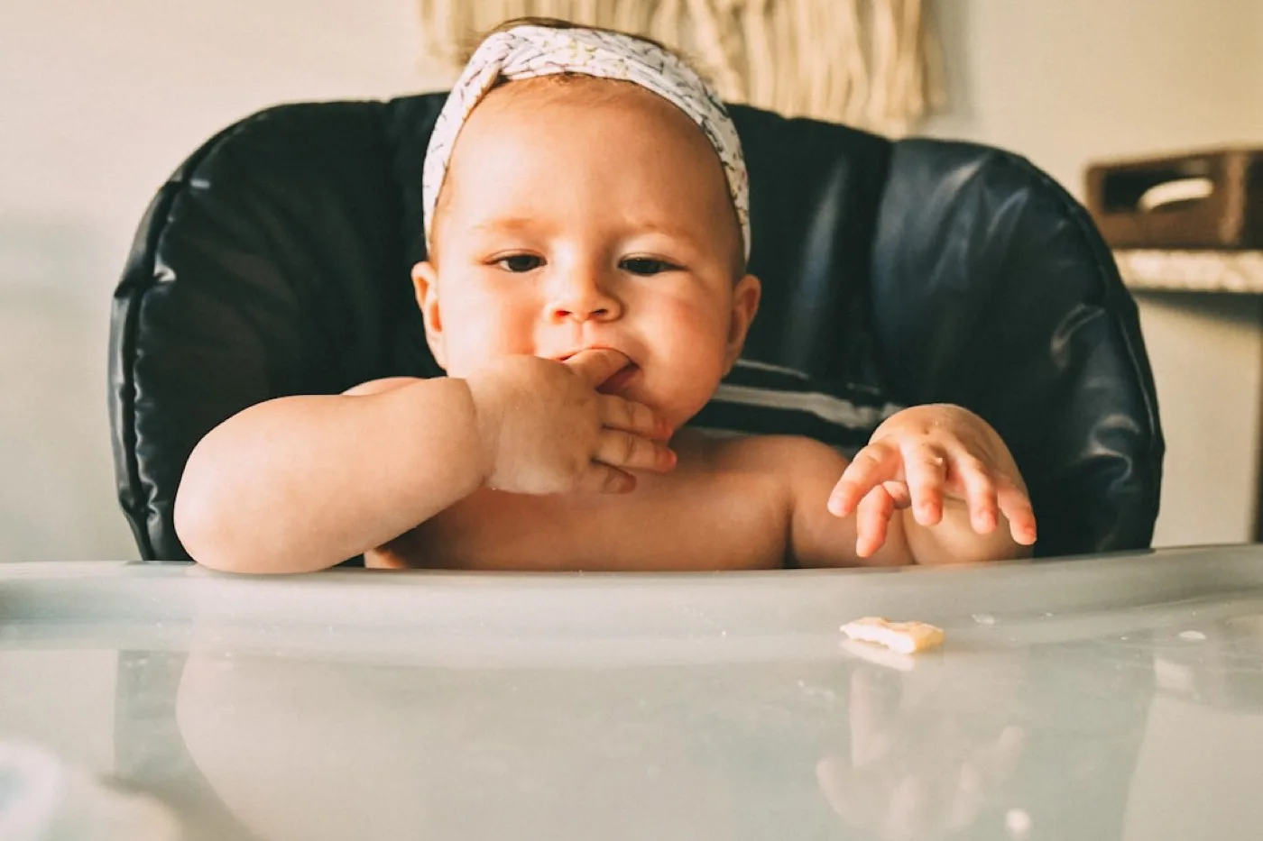 Chaise haute Babymoov ou BÉABA : préparer la comparaison