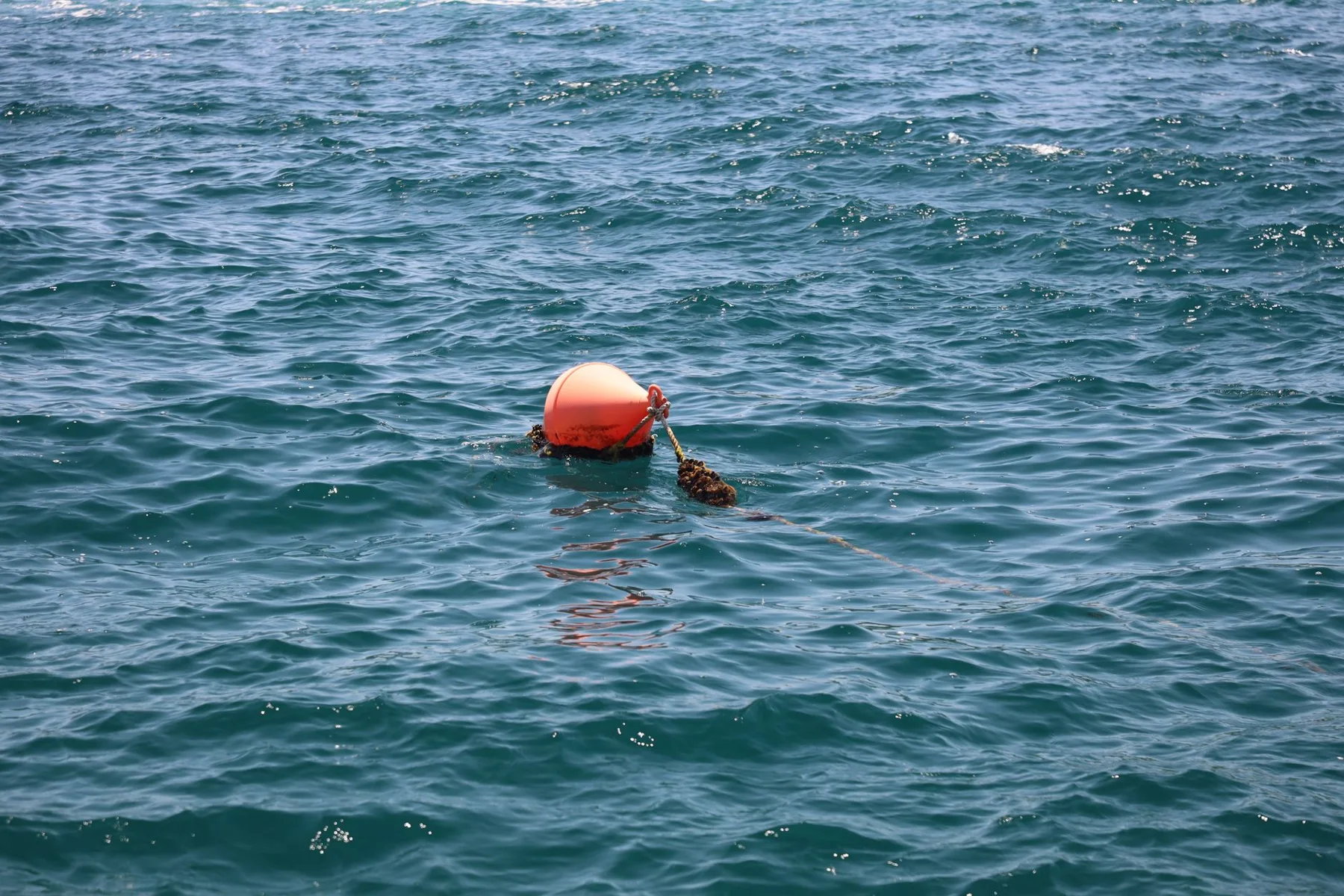 Sortie près de l’eau avec des enfants : préparer la surveillance et le lieu